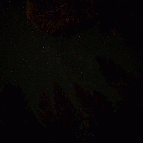 Zebulon Kosted : To Leave and Never Return